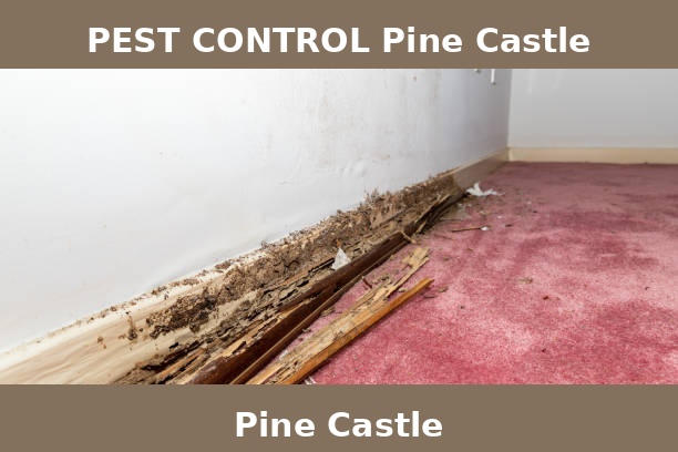 PEST CONTROL Pine Castle